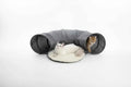 Foldable Cat Tunnel - Luxe Whiskers