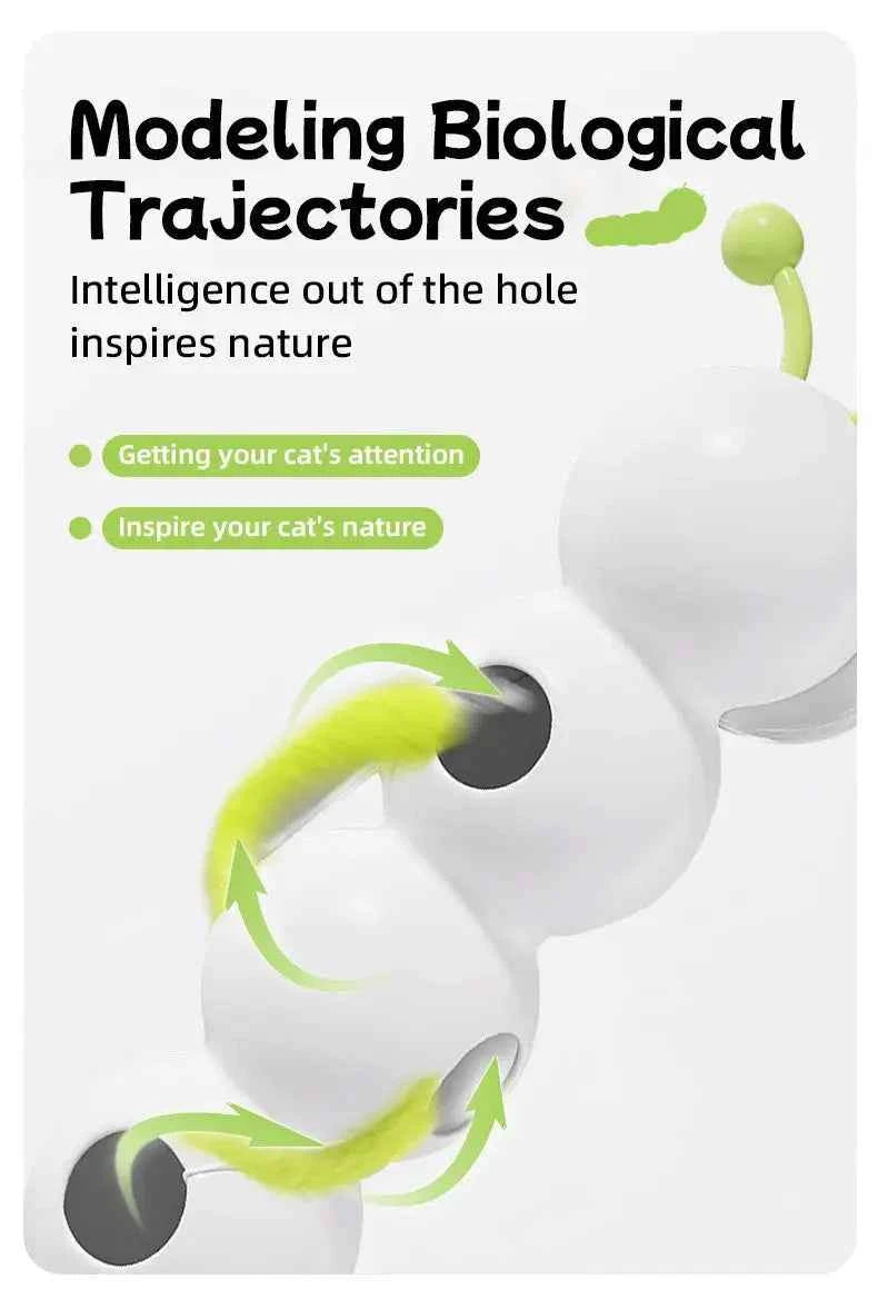 Electric Caterpillar Cat Teasing Toy - Luxe Whiskers