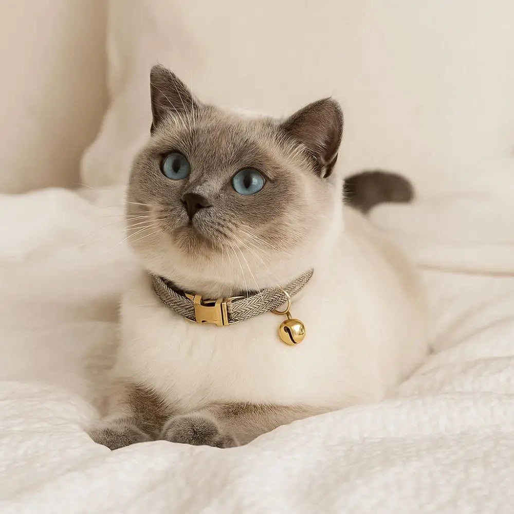 Adjustable Metal Buckle Cat Collar: Stylish and Secure for Your Feline Friend - Luxe Whiskers