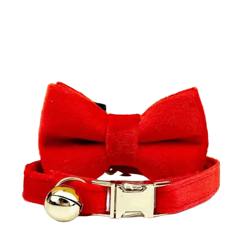 Velvet Bow Cat Collar - Yellow - Luxe Whiskers