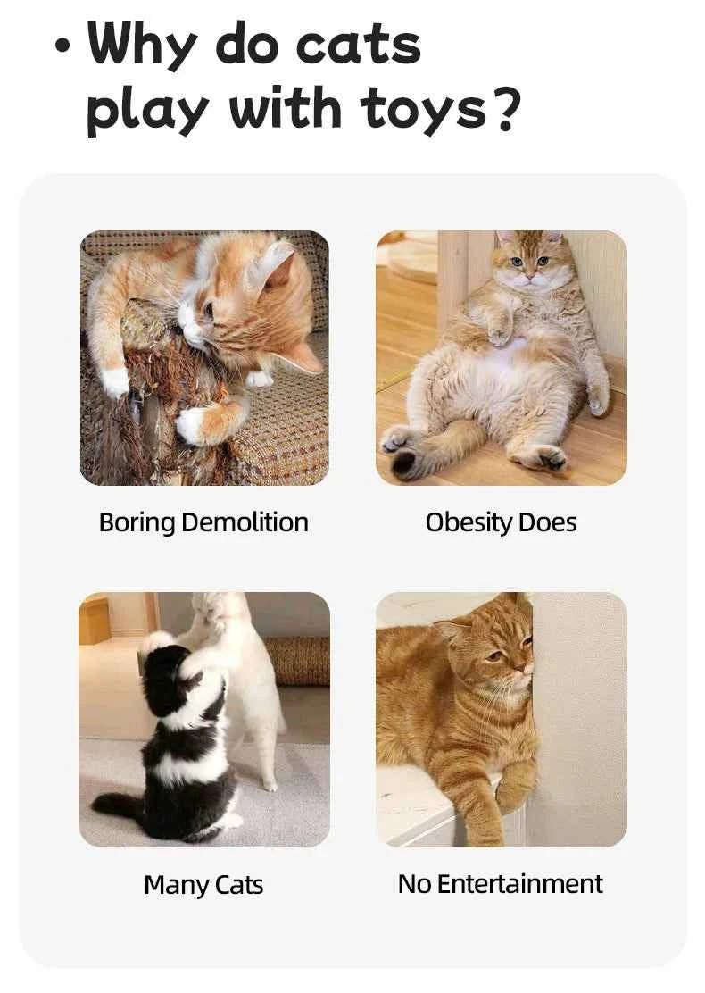 Cat Supplies Pet Running Interactive Indoor Cat Toy  Automatic/Remote DIY Speed  Adjustable  Exercise for Cats Cat accessories - Luxe Whiskers
