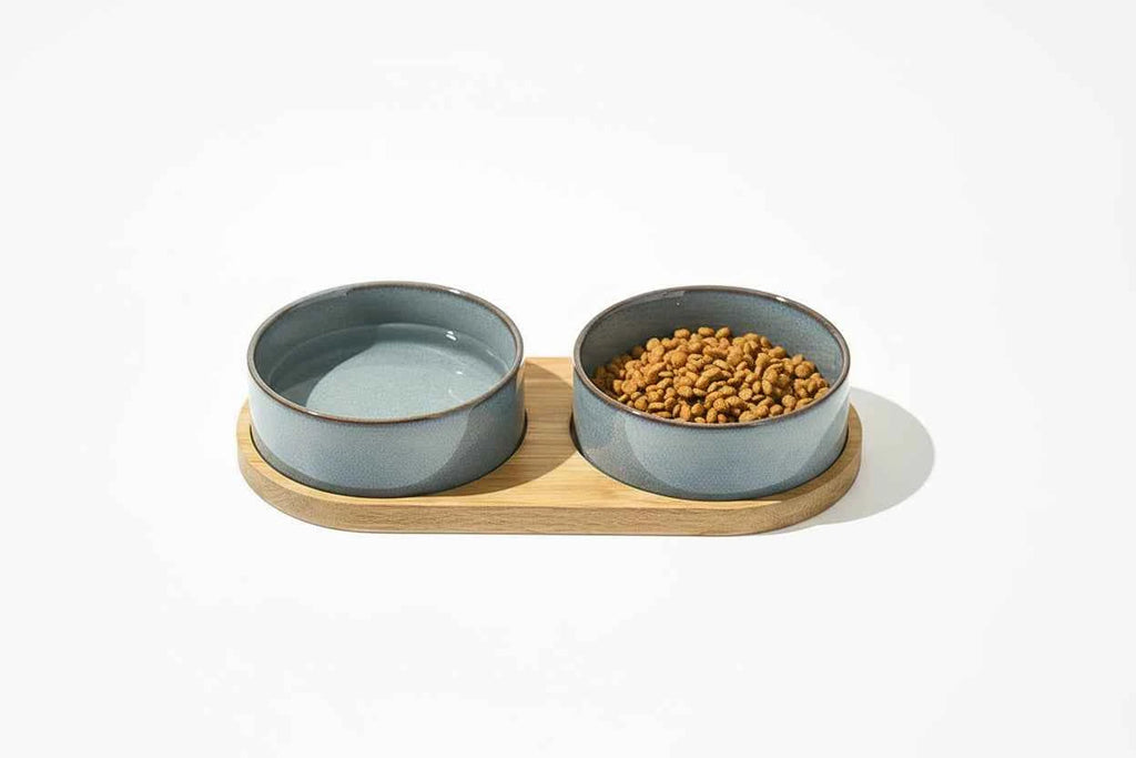 Ceramic Cat Feeding Bowl - Luxe Whiskers