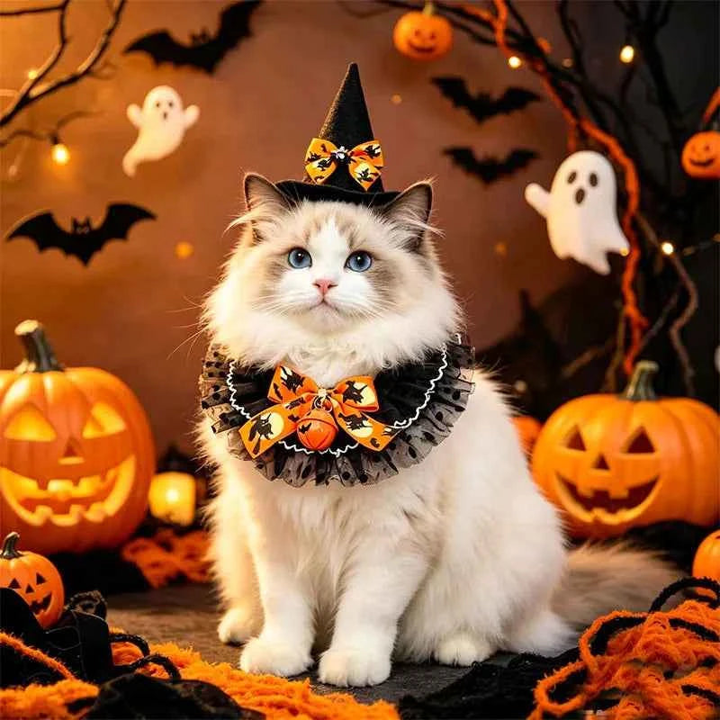 Halloween Cat Costume - Witch
