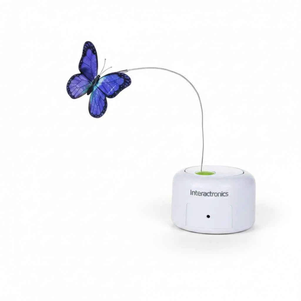 Pet cat self-hi boredom relief artifact butterfly electric cat teasing toy induction automatic rotation cat teasing turntable