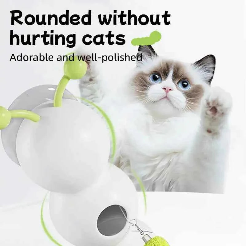 Electric Caterpillar Cat Teasing Toy - Luxe Whiskers