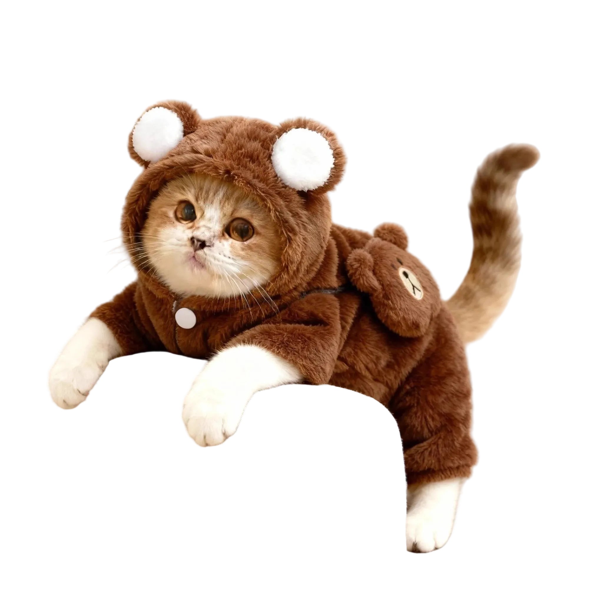Plush Bear Hooded Cat Clothing - Luxe Whiskers