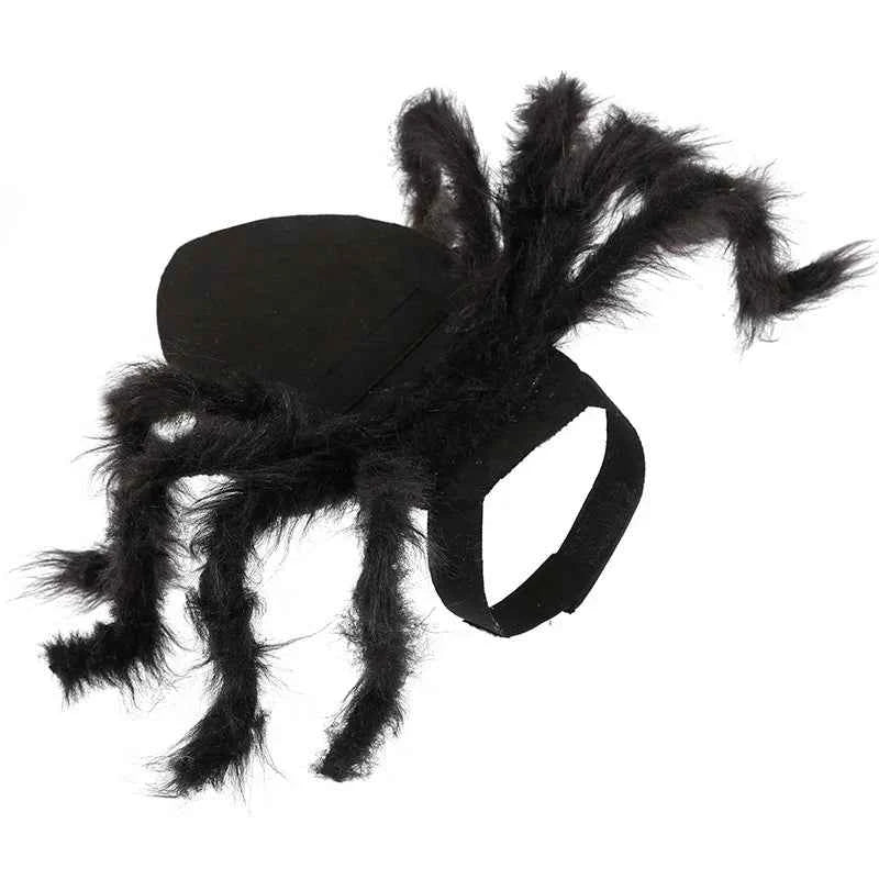 Cat Halloween Costume - Spider legs