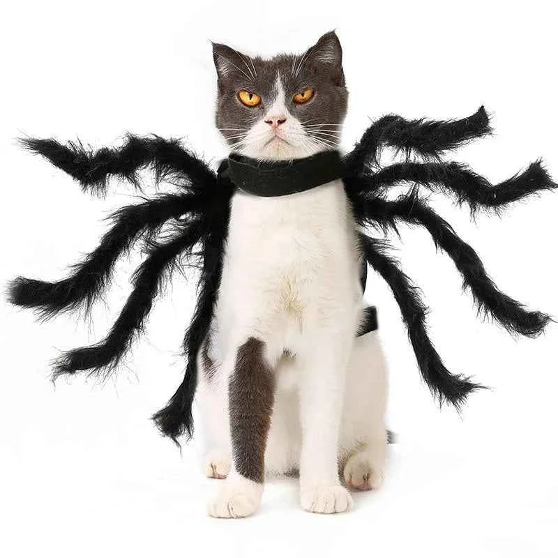 Cat Halloween Costume - Spider legs