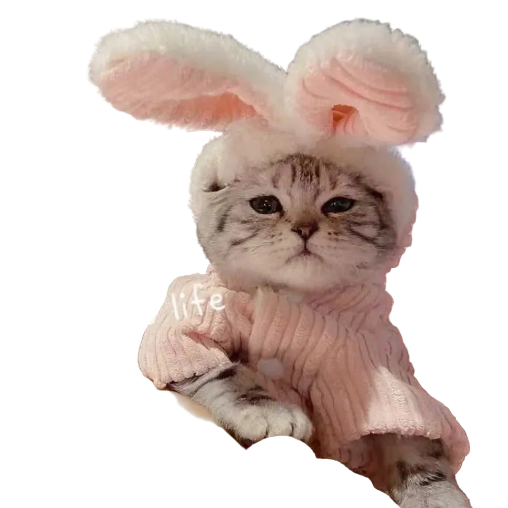 Bunny Cat Costume - Luxe Whiskers