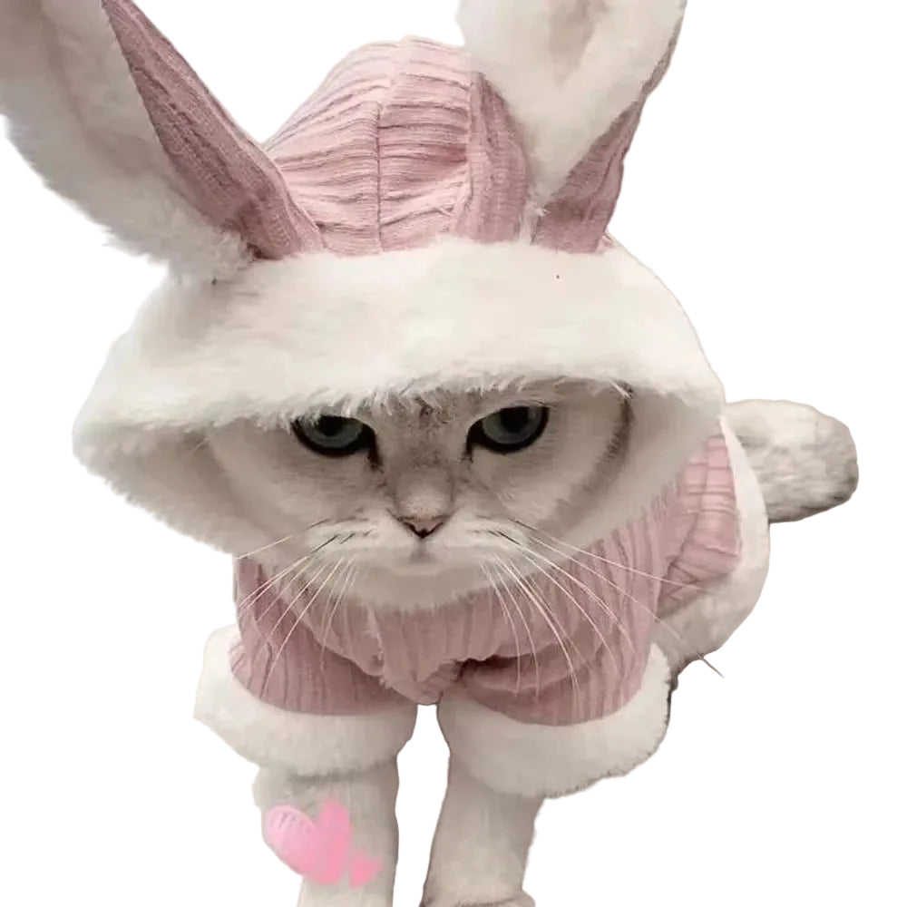 Bunny Cat Costume - Luxe Whiskers