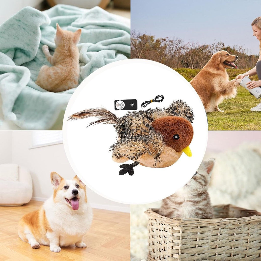 Cat Toys - Cat Toys with Catnip - Flappy Bird Cat Toy for Indoor Cats - Rechargeable - Electric Cat Toys - With Sound - Plush Sports Toy for Kittens - Pic Luxe Whiskers