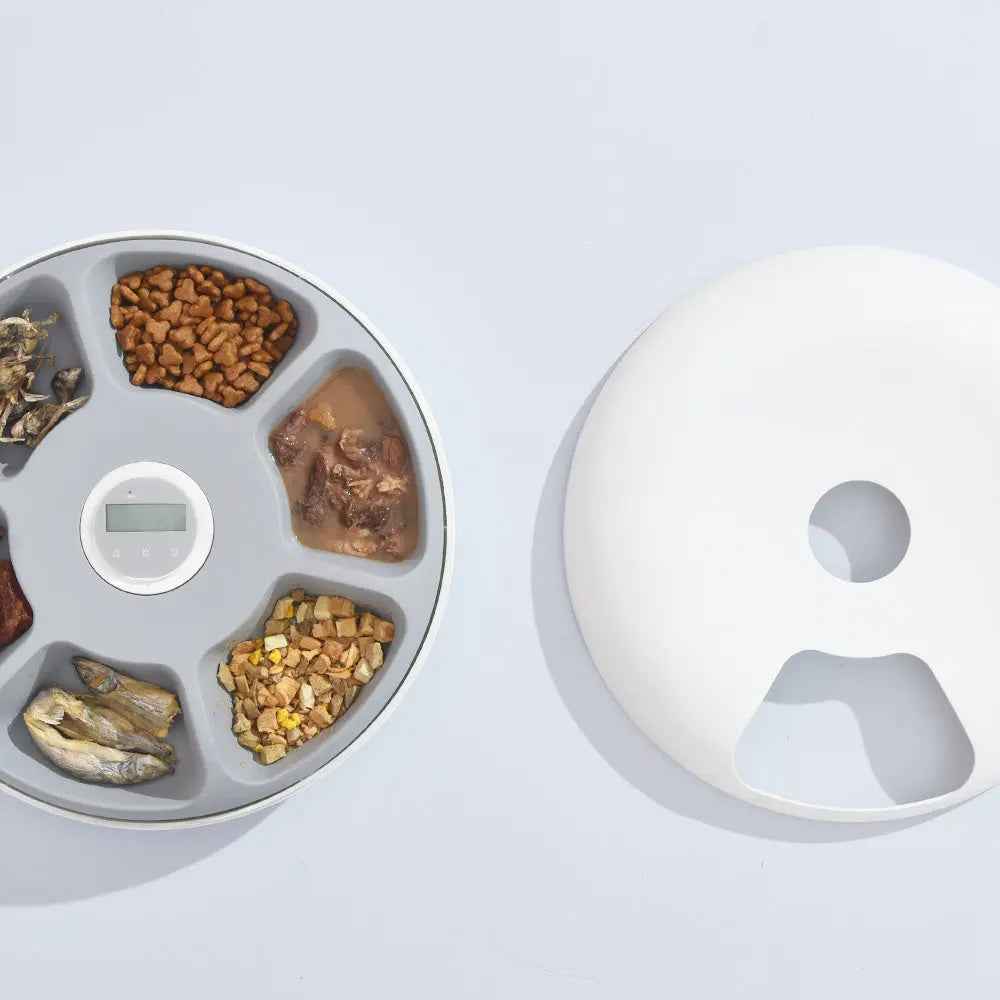 6 Meal Automatic Cat Food Feeder - White - Luxe Whiskers