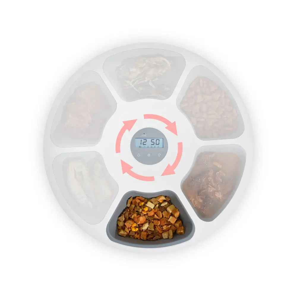 6 Meal Automatic Cat Food Feeder - White - Luxe Whiskers