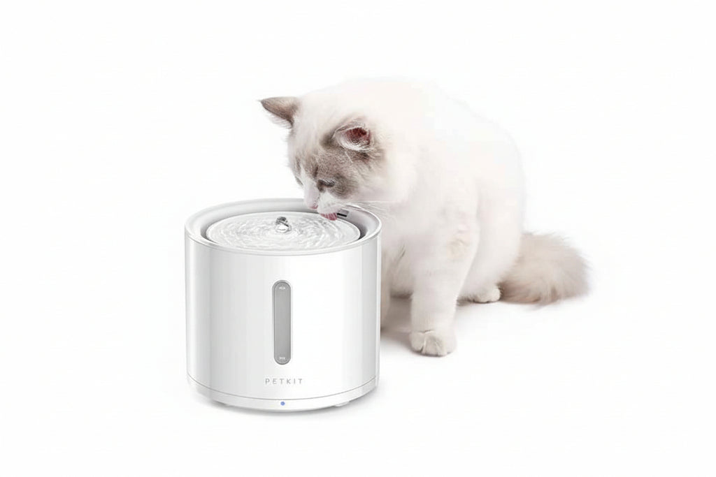 PETKIT Eversweet SOLO 2 Wireless Smart Water Fountain 2L - Luxe Whiskers