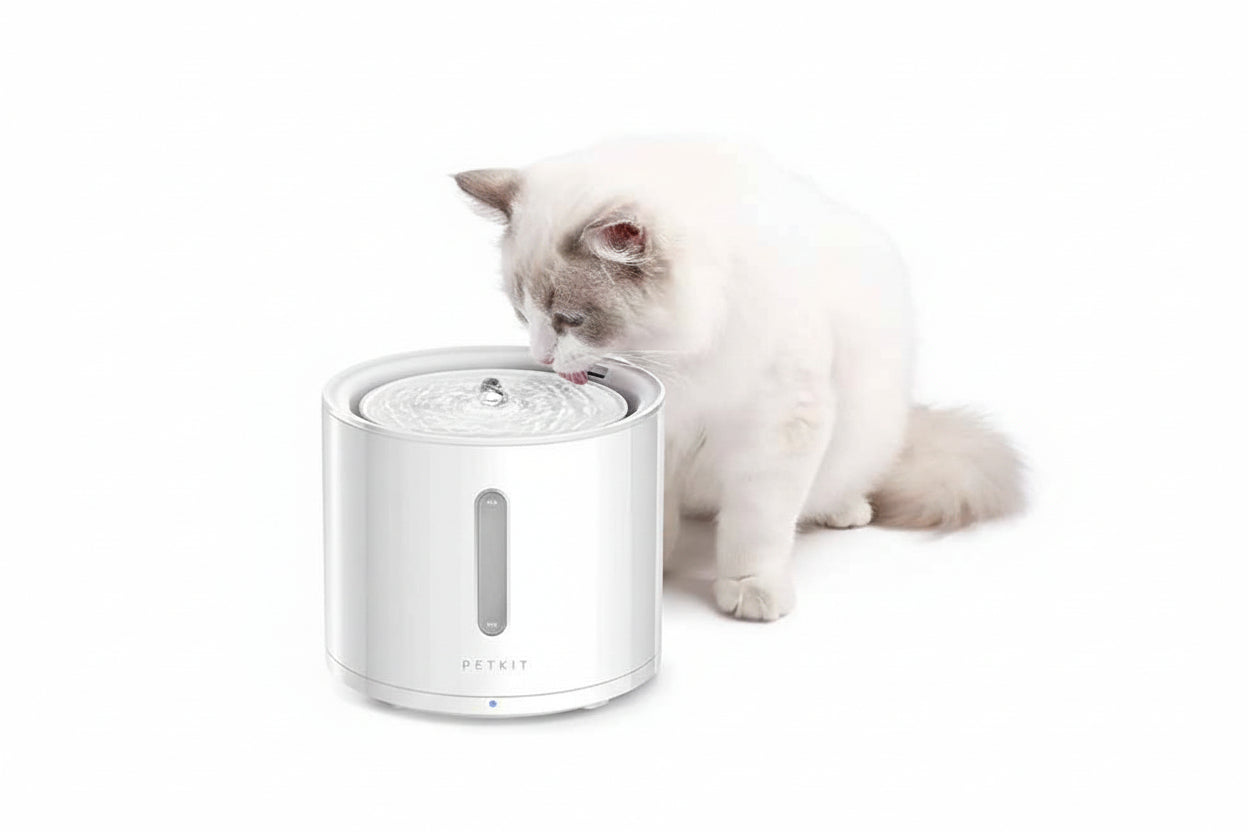 PETKIT Eversweet SOLO 2 Wireless Smart Water Fountain 2L - Luxe Whiskers