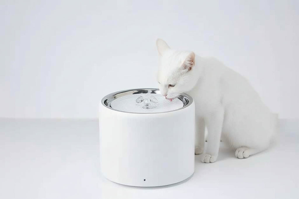 PETKIT Eversweet 3 Pro- Wireless Smart Drinking Fountain- 1.8L - Luxe Whiskers